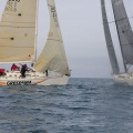 Regata Magdalena