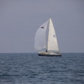 Regata Magdalena