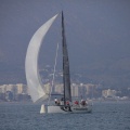 Regata Magdalena