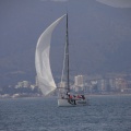 Regata Magdalena