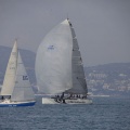 Regata Magdalena