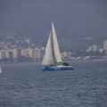 Regata Magdalena