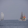Regata Magdalena