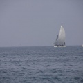 Regata Magdalena