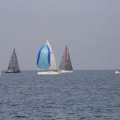 Regata Magdalena