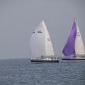 Regata Magdalena