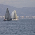 Regata Magdalena
