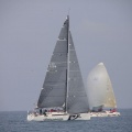 Regata Magdalena