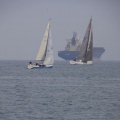 Regata Magdalena