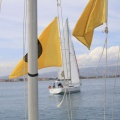 Regata Magdalena