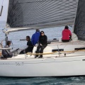 Regata Magdalena