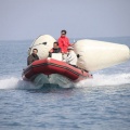 Regata Magdalena