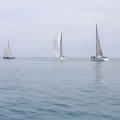Regata Magdalena