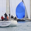 Regata Magdalena