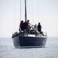 Regata Magdalena