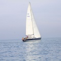 Regata Magdalena