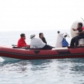 Regata Magdalena