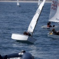 Copa de España de Optimist