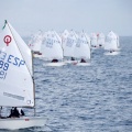 Copa de España de Optimist