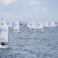 Copa de España de Optimist