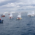 Copa de España de Optimist