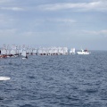 Copa de España de Optimist
