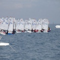 Copa de España de Optimist