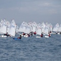 Copa de España de Optimist