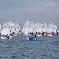 Copa de España de Optimist