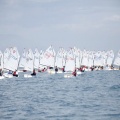 Copa de España de Optimist