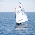 Copa de España de Optimist