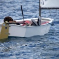 Copa de España de Optimist