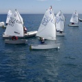 Copa de España de Optimist