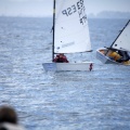 Copa de España de Optimist