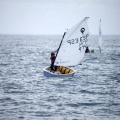 Copa de España de Optimist