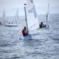 Copa de España de Optimist