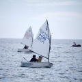 Copa de España de Optimist