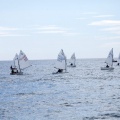 Copa de España de Optimist