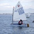 Copa de España de Optimist