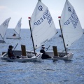 Copa de España de Optimist