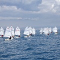 Copa de España de Optimist