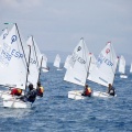 Copa de España de Optimist