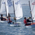 Copa de España de Optimist