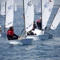 Copa de España de Optimist