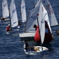 Copa de España de Optimist