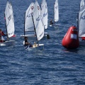 Copa de España de Optimist
