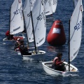 Copa de España de Optimist