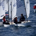 Copa de España de Optimist