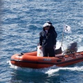 Copa de España de Optimist