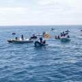 Copa de España de Optimist